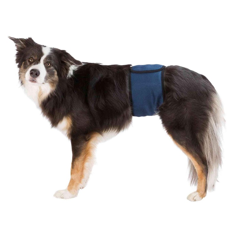TRIXIE belly band for male dogs, XL: 65-75 cm