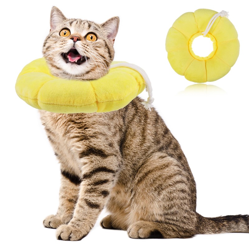 Fanshiontide Cat Neck Collar, Pet Protective Collar Cats, Adjustable Cat Recovery Collar, Protective Collar for Kittens, Small Dogs, Wound Healing After Pet Surgery (M)
