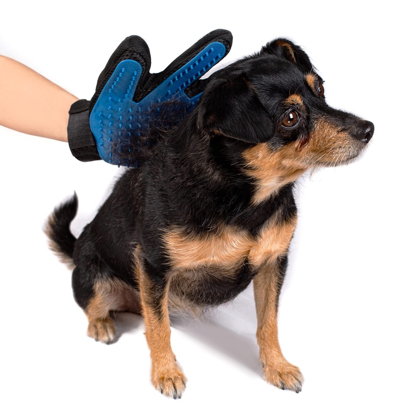 Grooming glove blue