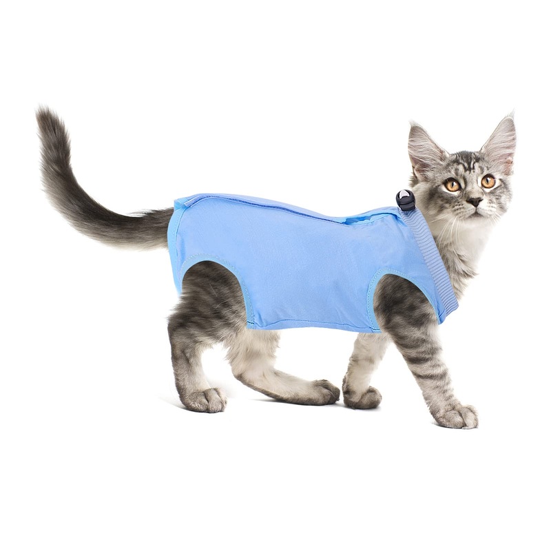 Molain Cat Professional Recovery Suit for Abdominal Wounds or Skin Diseases After Surgery E Collar Alternative for Cats Anti Licking Pajama Suit (Blue, Size M) Blue, Size M
