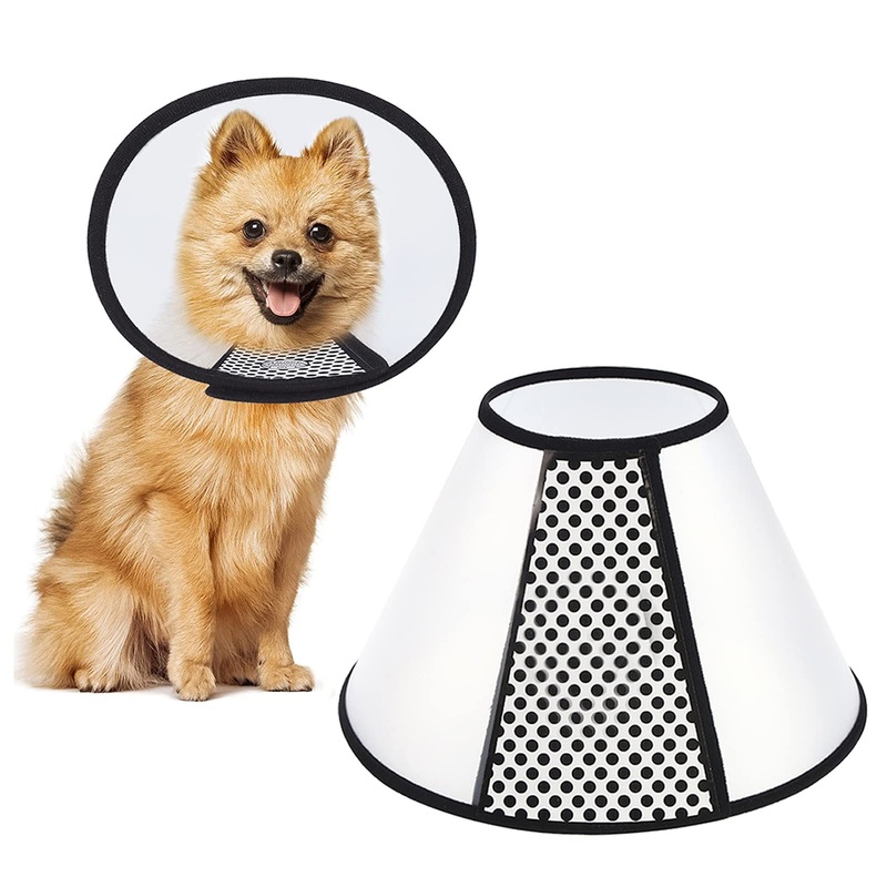 Neck collar for cats, cat collars, dog collars for cats, small dogs and rabbits (transparent) Colerette Chien