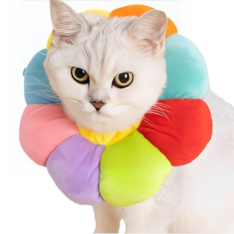 Neck ruff cat, neck ruffs for cats, cat ruff, cat collar, cat ruff, cat ruff soft, protective cat collar, cat collar, cat leak protection, collar cone for cats, colorful