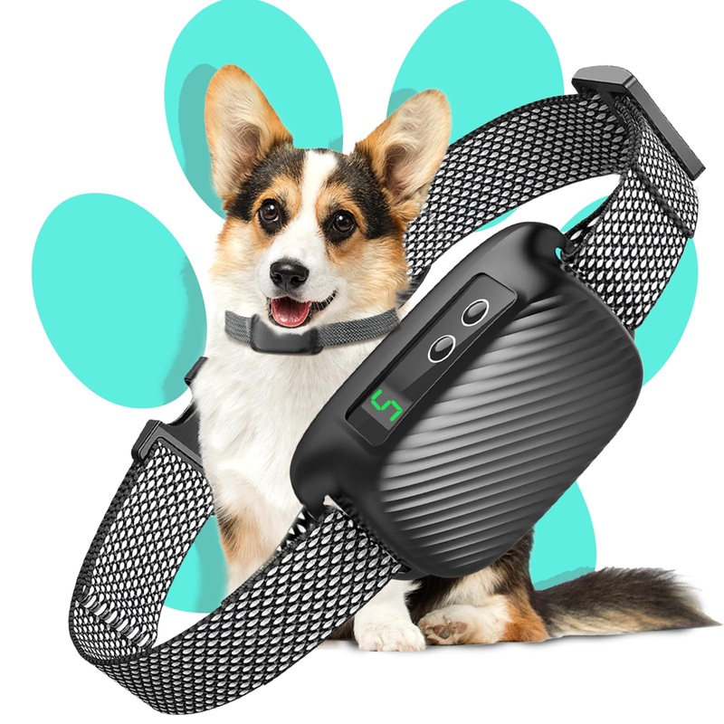 Dog Bark Collar, DOMPLAZA Bark Collar for Large Medium Small Dogs 8-150lbs Rechargeable Anti Barking Device Safe Smart Bark Colla with 5 Adjustable Sensitivity Dog Bark Collar IP67 Waterproof