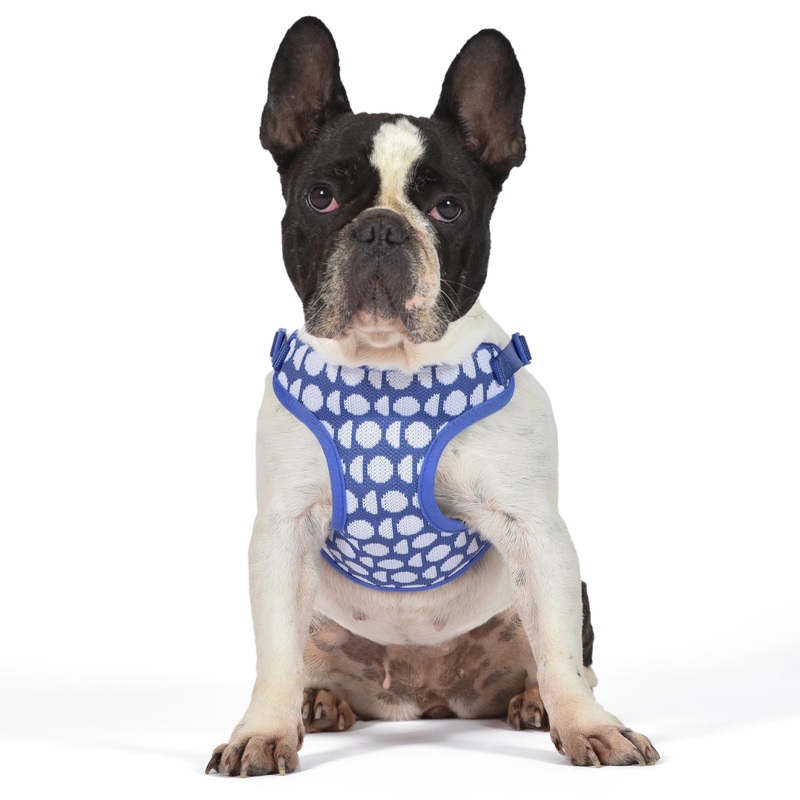 The Dodo Dog Harness, Blue Dodo Print, Size Small: Easy Step-in Harness for Dogs; Breathable Mesh Fabric; Snap-Together, Pinch Release Buckle, Ring for Leash Attachment; Everyday Pet Apparel