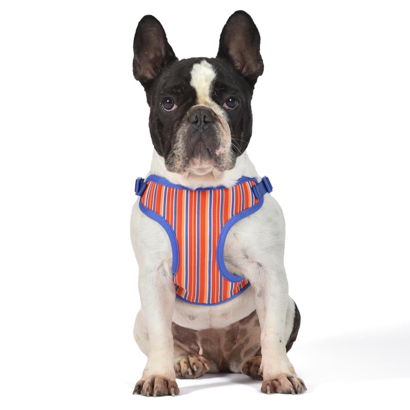 The Dodo Dog Harness, Striped, Size Small; Easy Step-in Harness for Dogs; Breathable Mesh Fabric; Snap-Together, Pinch Release Buckle, Ring for Leash Attachment; Everyday Pet Apparel Multicolor