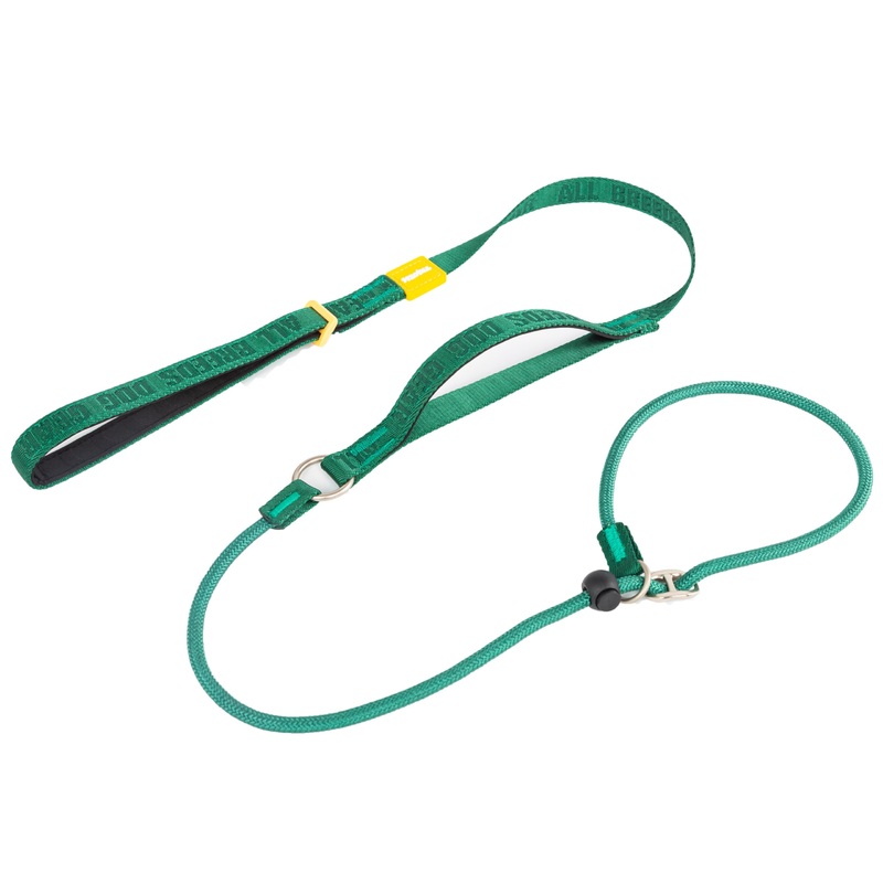 TRICESS Dog Slip Lead Dog Leash,Fine Webbing Training Leash, No Pulling Slip Leash Collar,Heavy Duty&Durable,Padded Handle,Easy-Control for Small,Medium or Large Dogs,5FT (Green, 5FT) Green