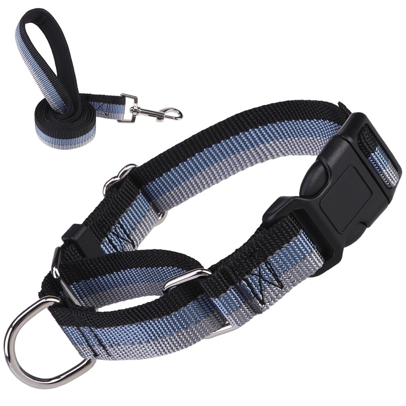 ESGPET Martingale Dog Collar and Leash Set for Small Medium Large Dogs, Reflective Heavy Duty Collar for Dogs, Adjustable Durable Pet Collars with Leash for Walking, Playing, Training (Medium) Black