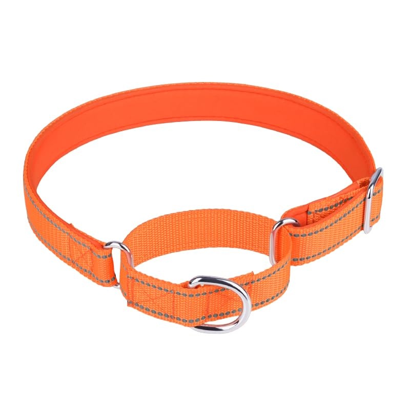 haoyueer Adjustable Martingale Safety Training Dog Collars, Soft Neoprene Padded Breathable Nylon Pet Collar for Large Medium Small Dogs (S, Orange) S
