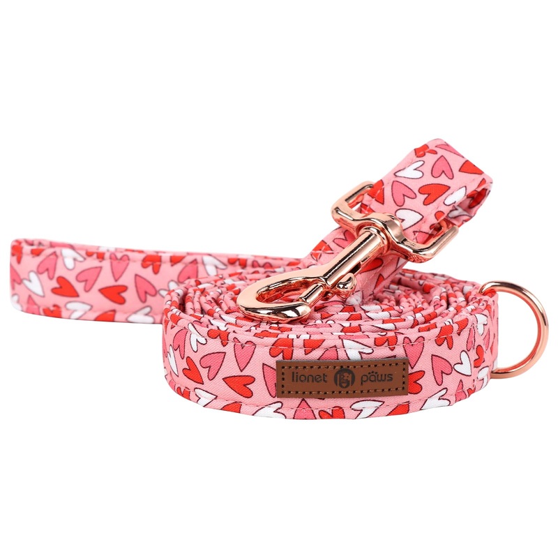 Lionet Paws Valentines Day Dog Leash Matching Dog Collar for Small Medium Large Dog Medium (Pack of 1) Red Pink Hearts(Leash)