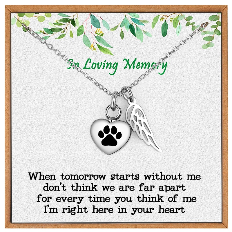 OLLaili Pet Loss Gift Mini Dog Urns for Ashes Pet Memorial Necklace for Ashes Loss of Dog Sympathy Keepsake