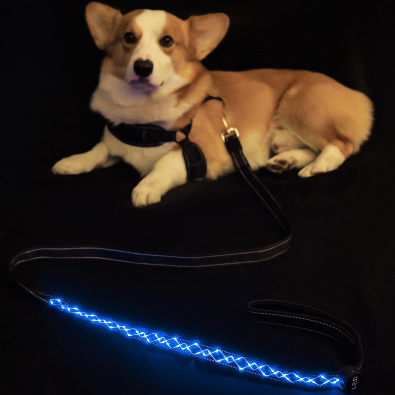 Pet Art LED Dog Leash,Rechargeable Nylon Light Up Leash for Night Walking,Length Adjustable 4-6ft,Waterproof & Durable Blue 6ft
