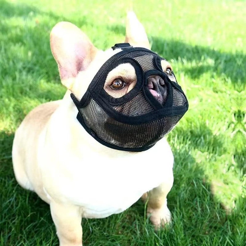 Short Snout Dog Muzzle Adjustable Breathable Mesh Flat Faced Muzzle for French Bulldog Grooming Mask Muzzle for Anti Biting Chewing Licking Small Medium Large Sized Dog (Small (9″-12″)) Small (9″-12″)