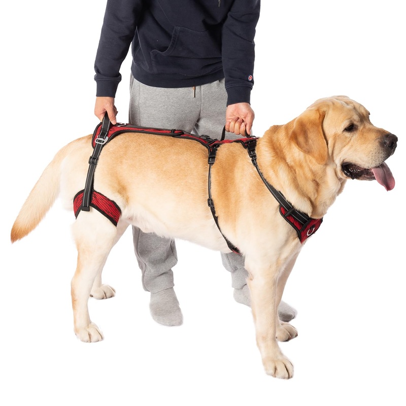 COODEO Mobility Dog Lift Harness, Support Sling for Dog, Dog Walking Sling, Pet Rear Leg Support Rehabilitation Lifts Vest, Dog Carrier for Senior Dogs with Arthritis, Up Stair (Red, XL) Red