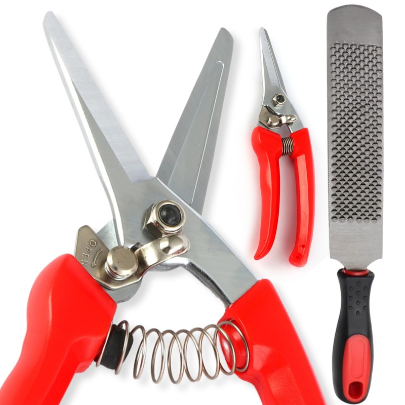 goat hoof trimmers with Mini Hoof rasp File (8-inch) – Nail Clippers for goat Sheep, Alpaca, Lamb, Pig -hoof rasp file – goat nippers – hoof trimmers – Hoof rasp file