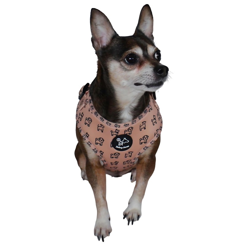 Dog Harness and Leash Set, No Pull Adjustable Soft Padded Vest, No Choke (Small, Beige Dog Pattern) Small