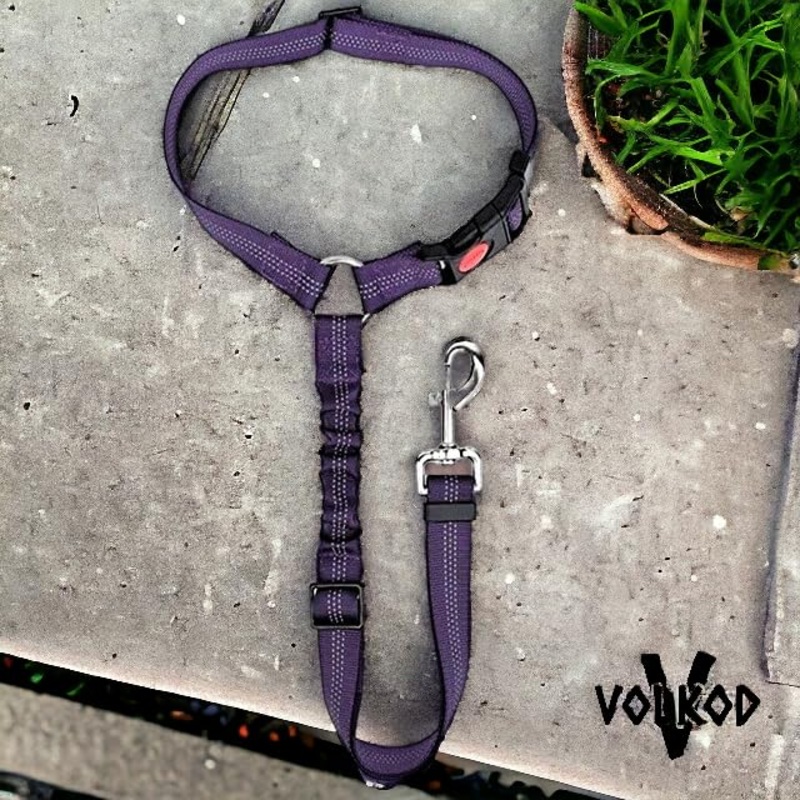 Dog Seat Belt Harness for Car, 2 in 1 Pet Dog Car Seatbelt. (Purple) Purple