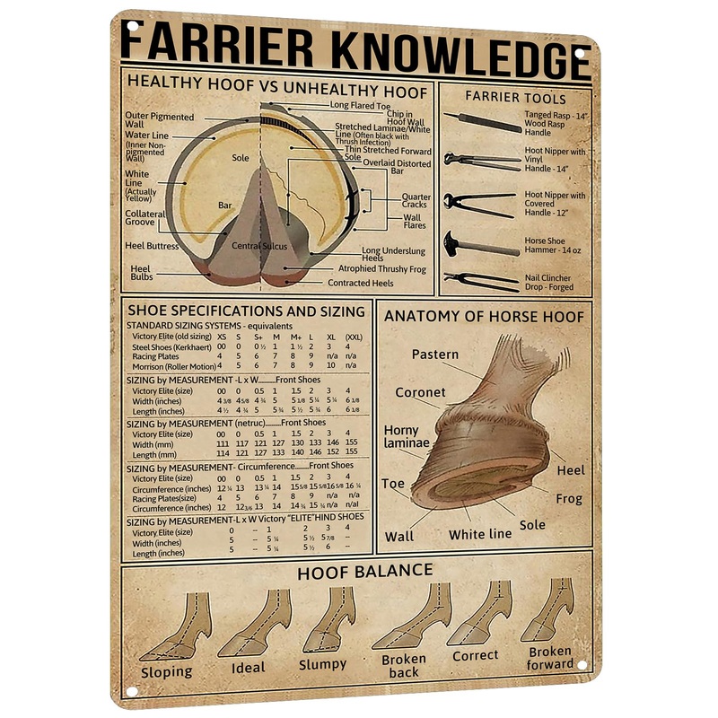 Farrier Knowledge Horse Hoof Anatomy Tin Sign – Educational Retro Metal Poster for Horse Lovers, Cowboy, Home, School, Farm, and Club Wall Decor, 12×16 Inches