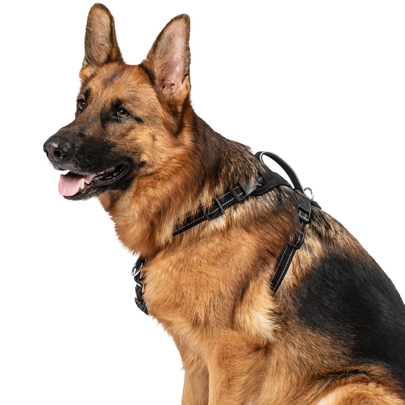 Premier Pet No Pull Comfort Harness – Large