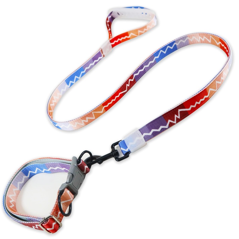 Strong Durable Nylon Dog Training Leash,Padded Traffic Handle for Extra Control, 4 Ft Long/1 Inch Wide, for Small, Medium, and Large Breed Puppies Lightning
