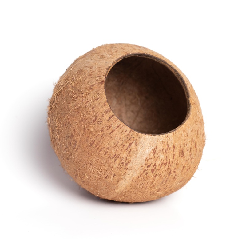 Coconut shelter for Aquarium Fish and Shrimp, ancistrus, pleco, a Ledge for Spider, Lizard, Snail, Frog, Turtle Platform, Habitat Made from Coconut Shell for Resting and Breeding