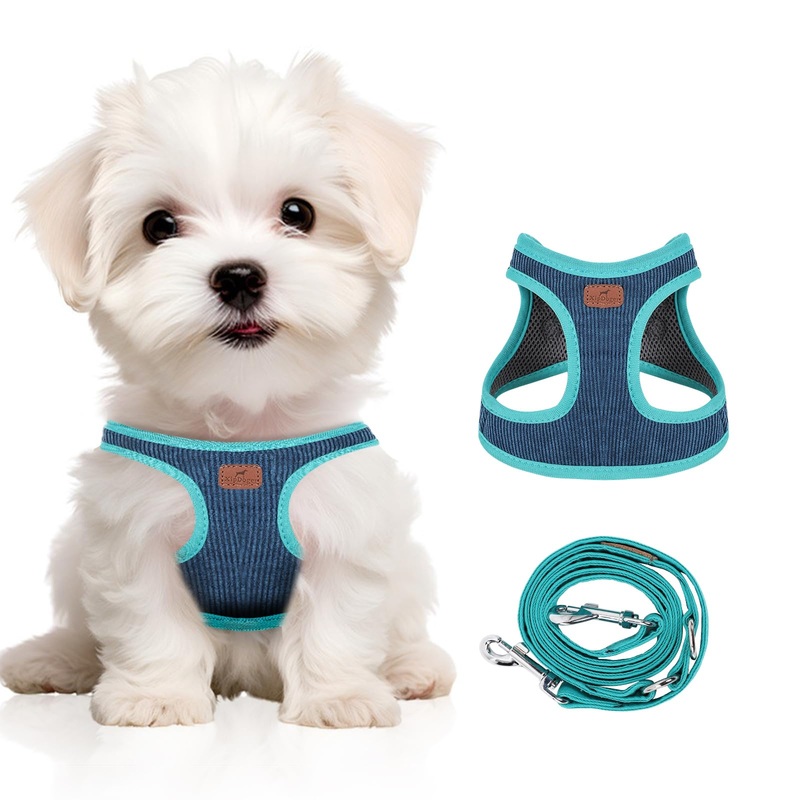 Dog Harness with Multifunction Dog Leash,No Pull Reflective Step-in Harness for Soft Adjustable No Choke Escape Proof,Easy Walk Dog Harness for Puppy,Small Dogs (Blue&Green, XXS) XX-Small Blue&Green