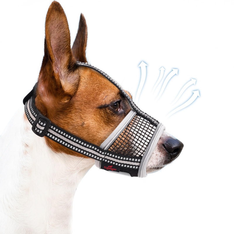 Dog Muzzle,Soft Mesh Breathable Muzzle, Air Mesh Dog Muzzle with Reflective & Adjustable Strap for for Biting Chewing Grooming,Allow Panting Drinking,Dog Muzzle for Medium (M, Black)