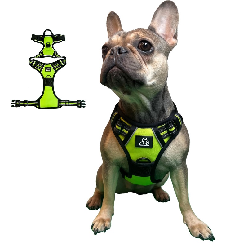 Funny Fur Grace – Neon Green Adjustable Heavy Duty Escape-Proof Harness, No Pull Design – Ideal for Medium Dogs – M Size #funnyfurgrace