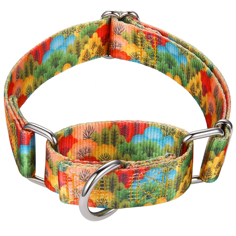 Martingale Collar for Dogs 1 inch Sturdy Durable Collars Medium and Large Breed for Walking Training Outdoor Daily Use Multihued Forest L:17″-25″