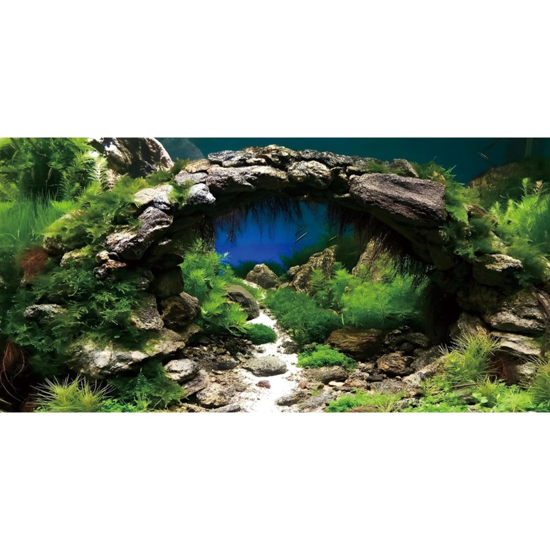 AWERT 36×24 inches Arch Stone Aquarium Background River Bed & Lake Aquarium Vinyl Background Aquatic Plant Fish Tank Background 36x24in/90x60cm YG06061