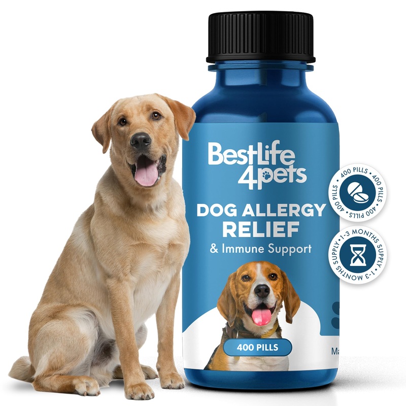 Dog Allergy Relief & Immune Support, Natural Holistic Itch Relief for Dogs, Immune System Guard and Allergy Support, Including Seasonal Allergies, Sneezing, Runny Nose and Itching, 400 Small Pills
