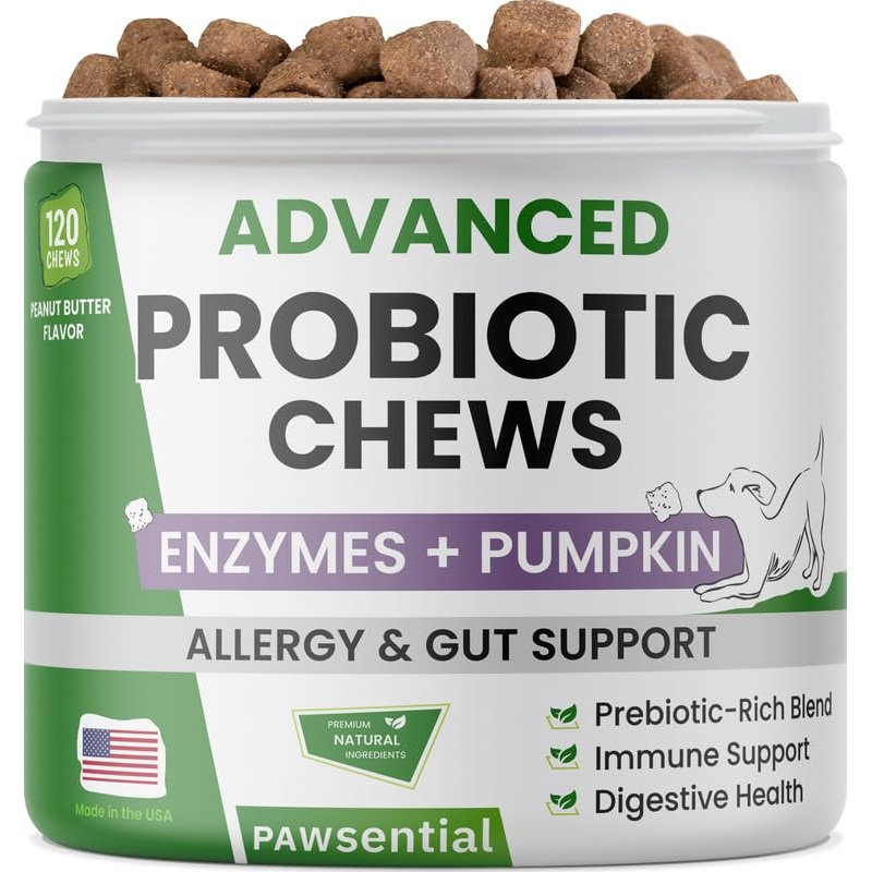 Dog Digestive Support Probiotic Chews – Enzymes, Probiotics, Prebiotics, and Pumpkin for Dogs – Improve Stool Quality and Consistency – Relief from Gas, Constipation, Diarrhea 99ct