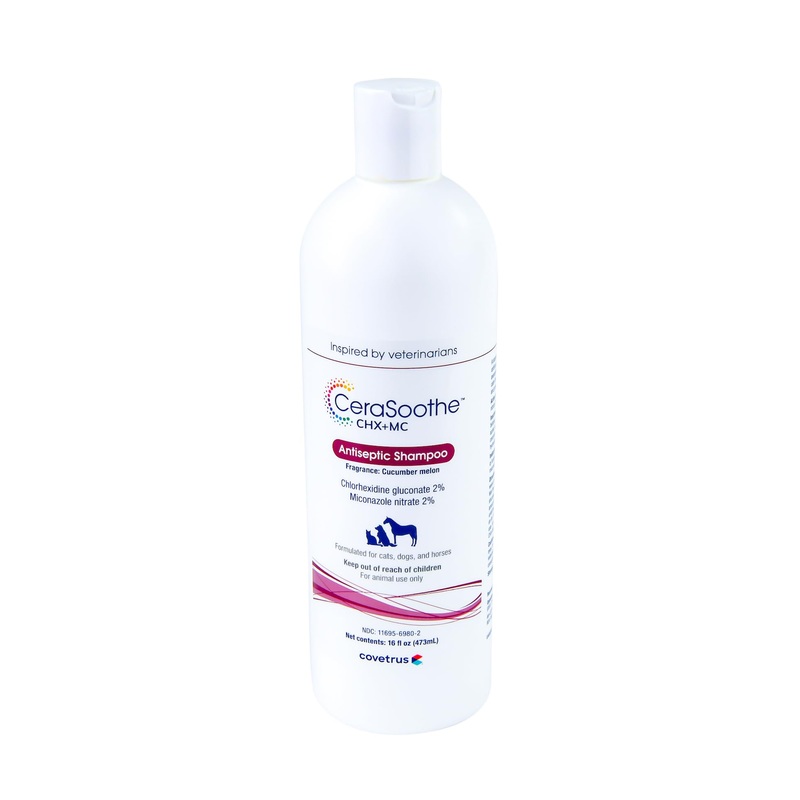 CeraSoothe CHX+MC Antiseptic Shampoo 16oz