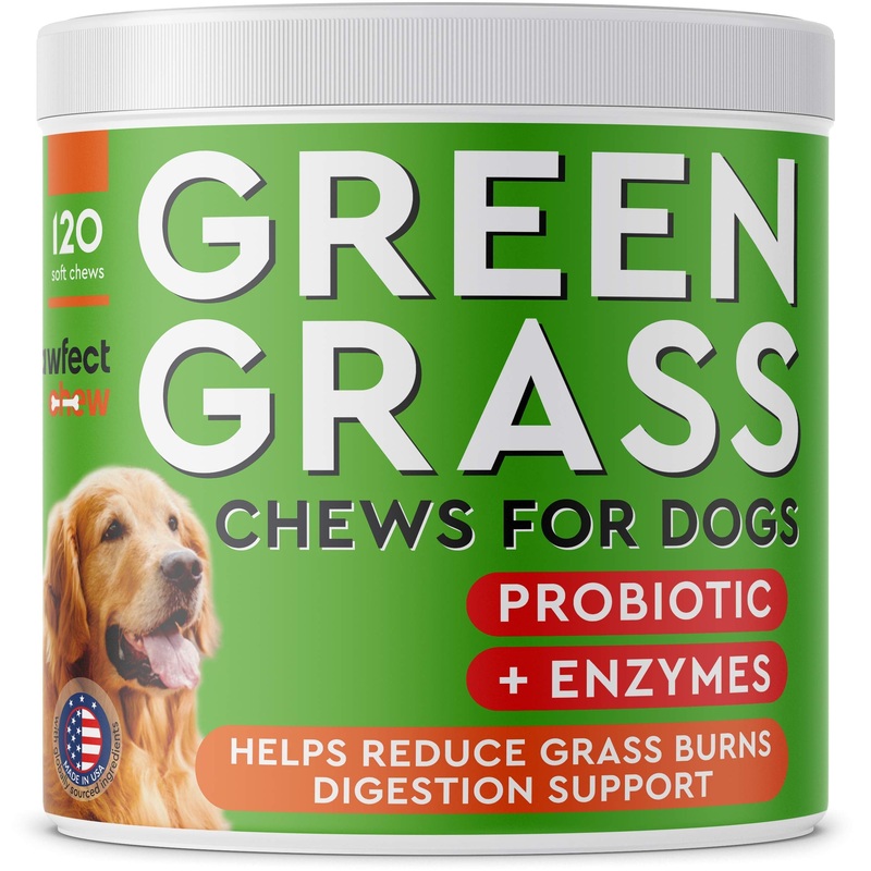 Dog Pee Grass Helper – Grass Treatment for Dog Urine – Dog Urine Neutralizer for Grass Burn Spots – Dog Pee Lawn Repair Treats with Probiotics – Made in USA – 120 Chews