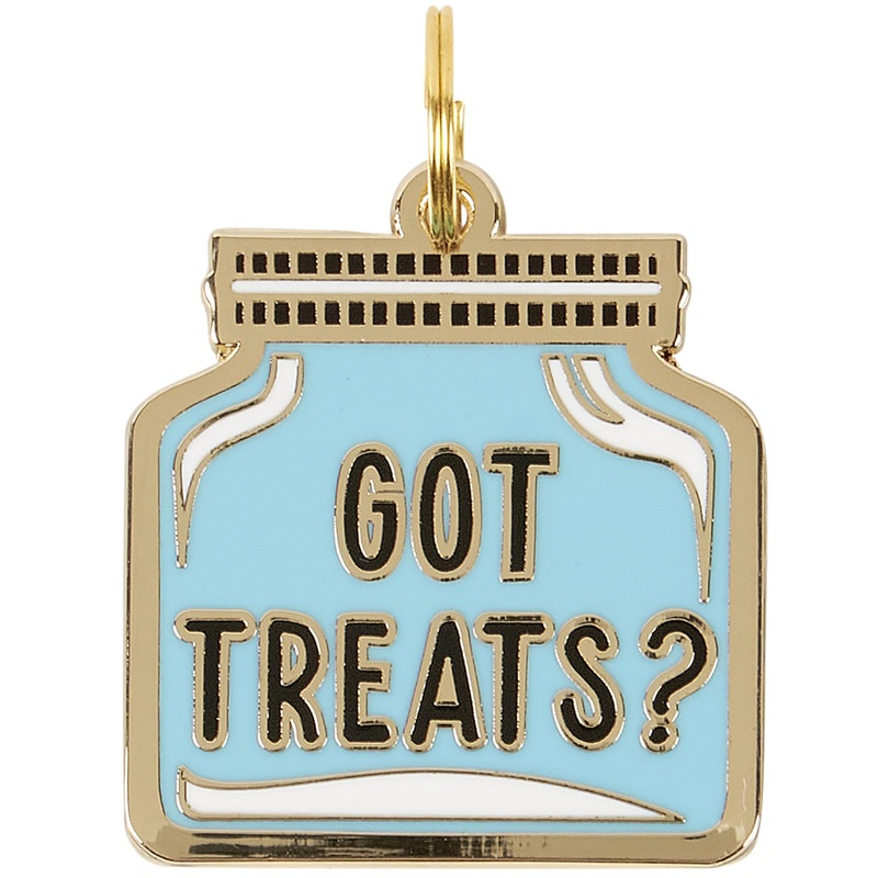 Got Treats Collar Charm