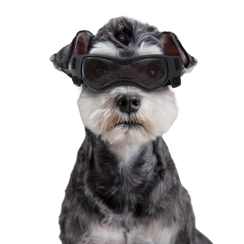 Small Dog Goggles Small Breed, Small Dog Sunglasses UV Eye Protection for Medium Breed Dogs, Doggy Goggles Puppy Eyewear Glasses Pet Sunglasses, Black