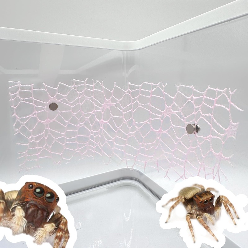 4 Pcs Jumping Spider Habitat Accessories – Jumping Spider Accessories with Magnet, Enhance Your Jumping Spider’s Home with Functional and Stylish Spider Enclosure Dcor, Pink