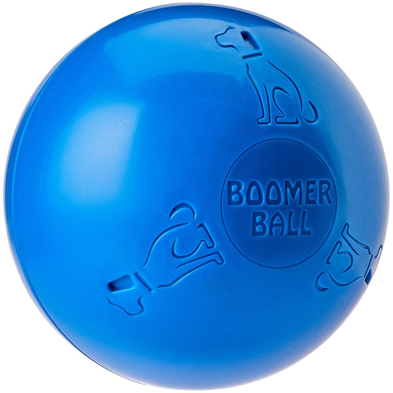 BOOMER BALL 8 inch, Virtually Indestructible Best Dog Toy, Boredom Busting Football, Tough & Durable Large Dog Ball, Floats on Water, Great for Mental Stimulation & High Energy Dogs, Assorted Colours