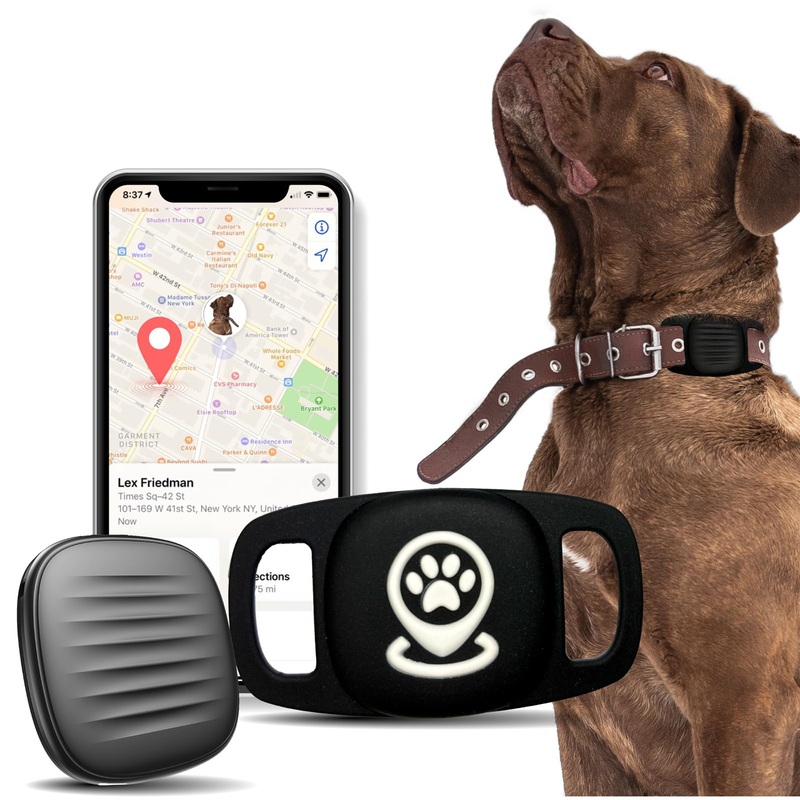 Dog Bluetooth Tracker Smart Pet Location Tracker with Collar Holder, Personalized Smart Activity Tracker, MFi Certificated Dog Tracking Device, No Monthly Fee, Works with Apple Find My (iOS Only)