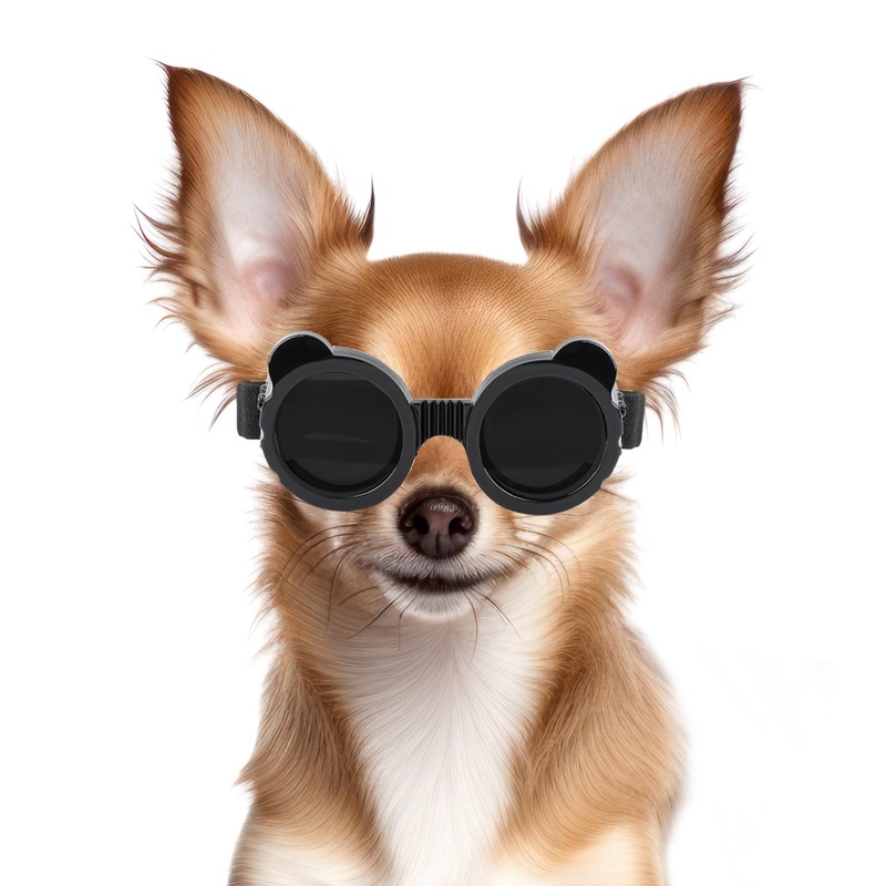 Dog Goggles for Small Dog UV/Wind/Dust Protection Dog Sunglasses for Small Breed with Adjustable Strap – Black