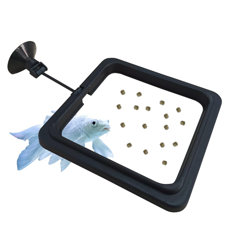 FREESEA Fish Feeding Ring for Aquarium: Square Betta Floating Feeding Ring for Fish tank