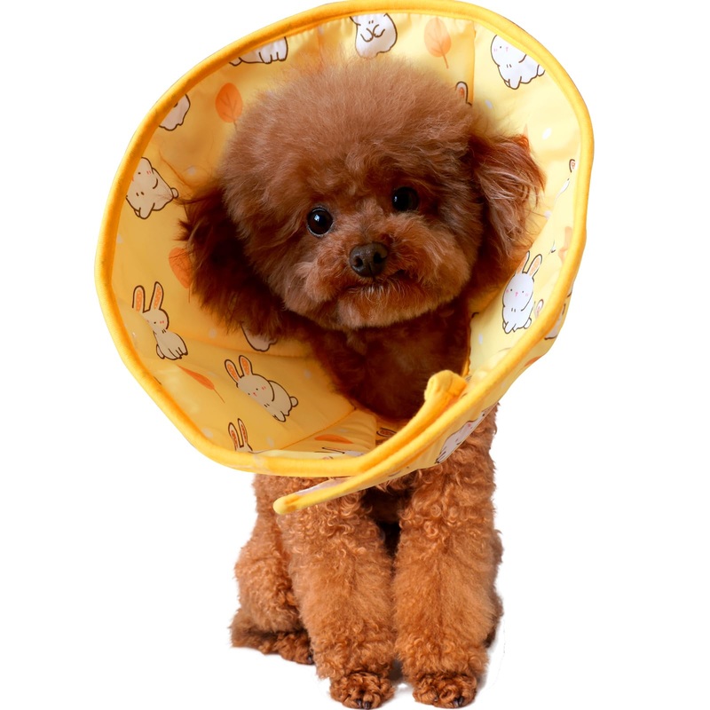 Pet Cat Cone,Adjustable Recovery Soft Dog Collar,After Surgery Prevent Licking Wound,Comfortable Pet Elizabethan Neck Collar for Cats and Puppies yellow L