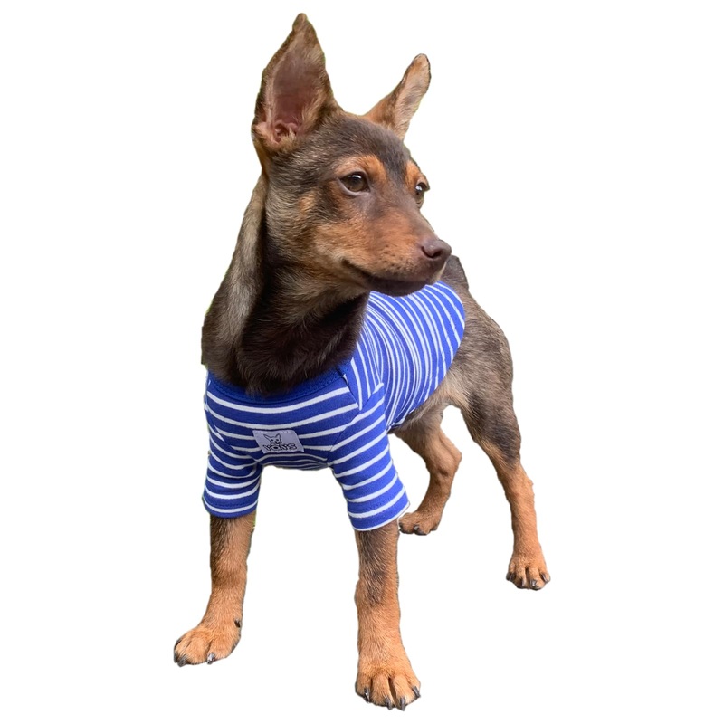 Pet Dog T-Shirts Striped Cotton Tee Shirt for Small Dogs and Cats Puppy Clothes Dog Apparel Teacup Dog Clothing for Chihuahua Yorkie Poodle Blue White XXSmall XX-Small Blue and White