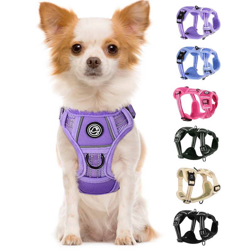 Small Dog Harness, Dog Harness Small Sized Dog, No Pull Pet Harness with 2 Leash Clips, Adjustable Soft Padded Dog Vest Harnesses, Reflective No-Choke Pet Oxford Vest Purple