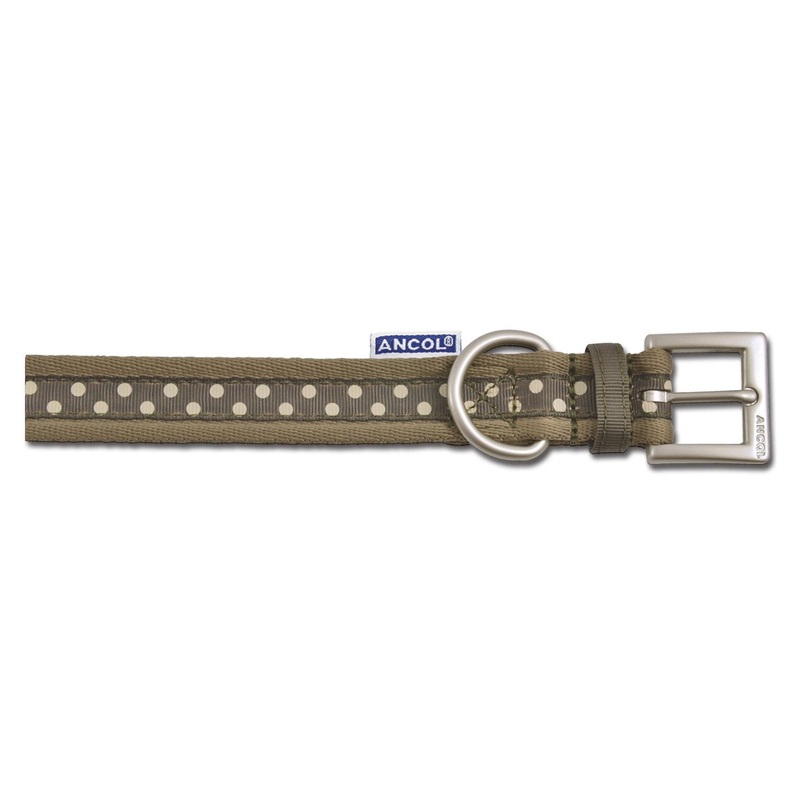Ancol Choc Polka Dog Collar, 30cm/ 12-inch 30 cm/12-inch