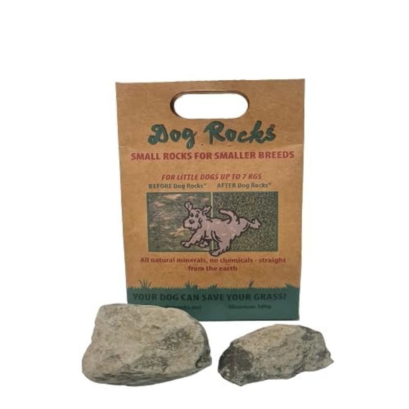 Dog Rocks for Water Bowls for Green Grass in 3-5 Weeks | Dog Urine Neutraliser for Lawns, Grass and Hedges | Stones for Dogs Water Bowls | Natural Dog Wee Neutraliser for Grass | 100g, 1 Month Supply 100 g (Pack of 1)