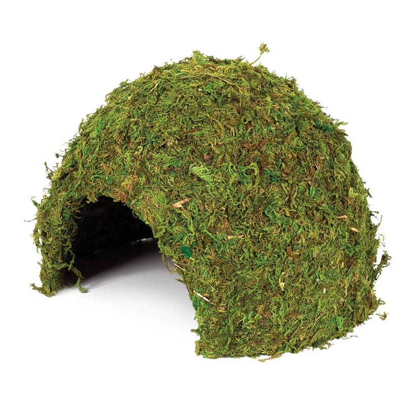 Komodo Large Natural Moss Cave for Reptiles – L
