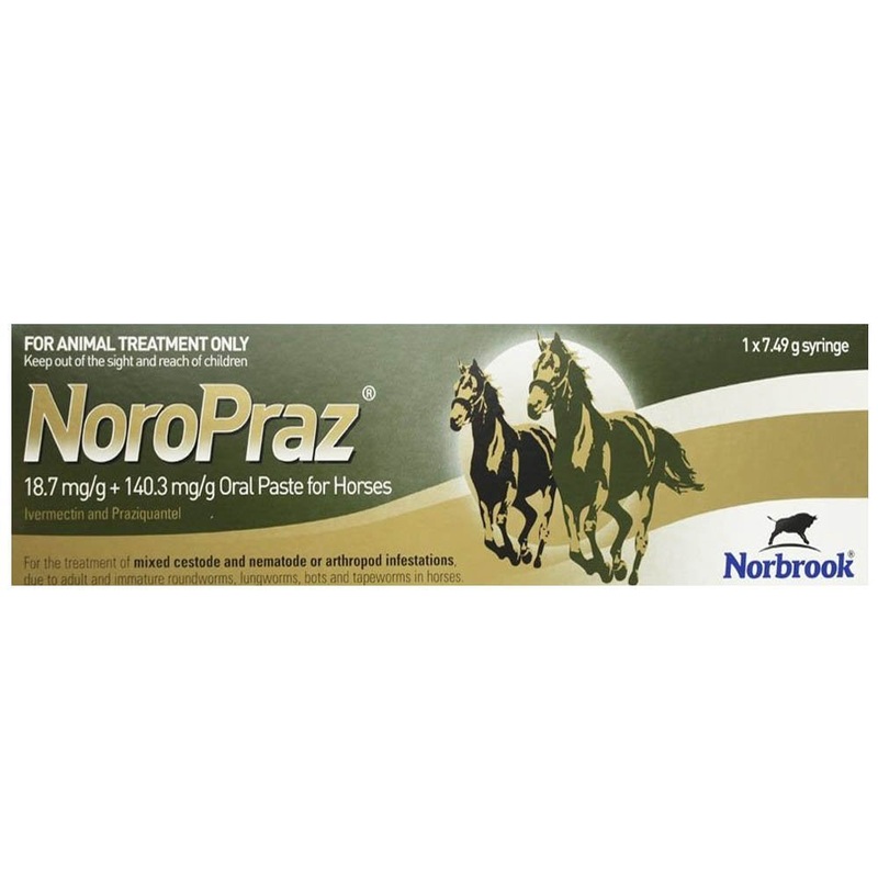 Noropraz Horse Wormer Equine Oral Paste 18.7 mg/g + 140.3 mg/g