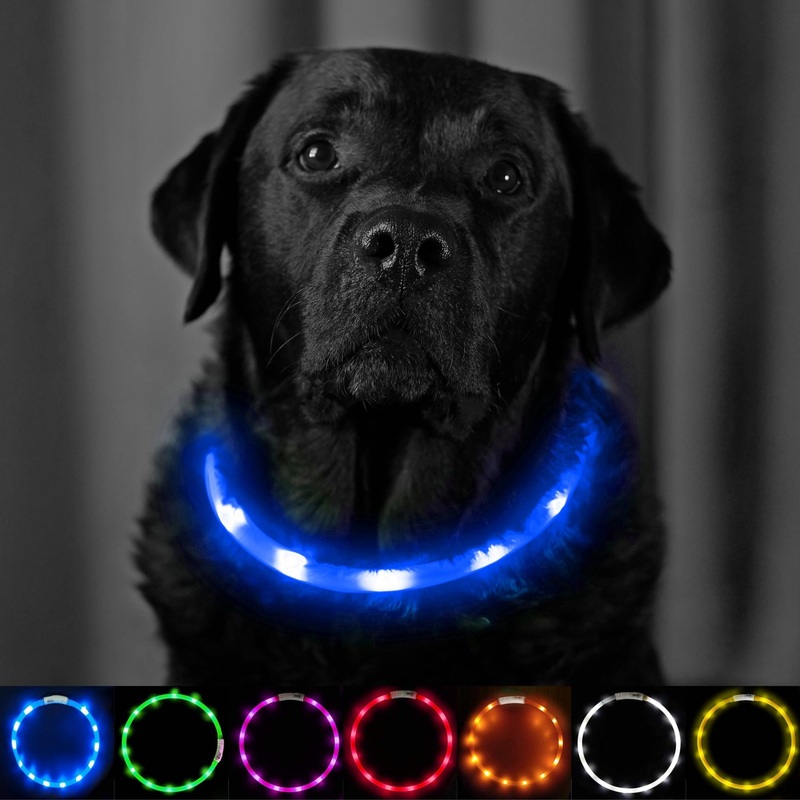 PetSol Light Up Dog Collar Blue – Extra Bright LED Collar – USB Rechargeable – Cut to Fit (20cm to 70cm) with Static or Flashing Mode – Weatherproof, Easy Clean, High Visibility & Full Guarantee