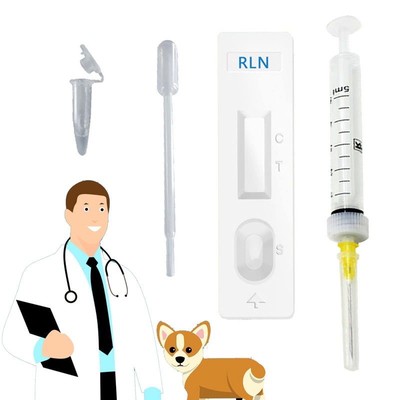 Dog Pregnancy Test Kit at Home, White, Fast and Accurate Detection, Pregnancy Tests Strip for Dog Disposable Pet Clinic Equipment