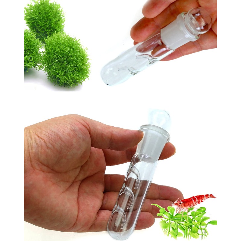 Planaria Trap Crystal Red Shrimp Tank Aquarium Bristle Worm Catcher, Shrimp Dwarf Shrimp Ghost Shrimp Live Freshwater Cleaning Supplies Clear Glass Leeches Catching Tube (3 Holes)